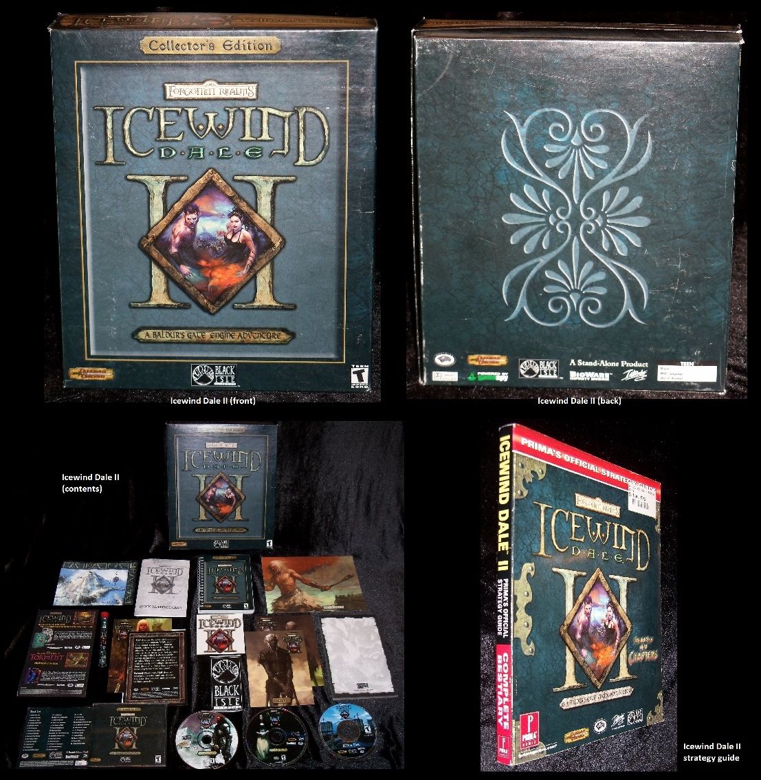 Rpg Codex Top 74 Pc Rpgs Of All Time Boxed Edition Rpg Codex Doesnt Scale To Your Level 5850