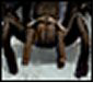 MOO_3721_m_GiantSpider.png