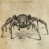 wgp_ds_spidersibling.png