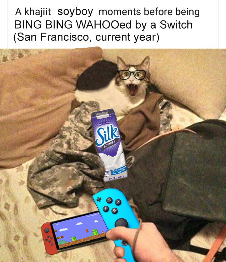 bingmachetecat.png