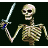 skeletonmeister