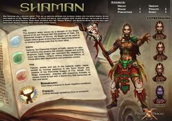 book shaman