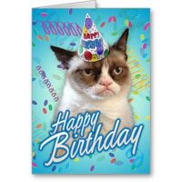happy birthday grumpy cat greeting cards r8d3604a9af064135b06128242809aaa0 xvuat 8byvr 512