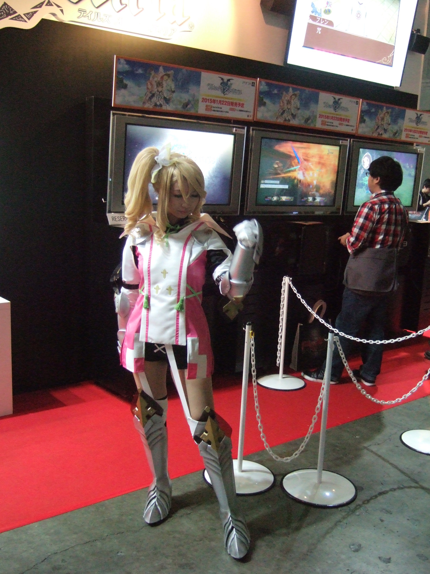 TGS 2014 Booth Babe 8