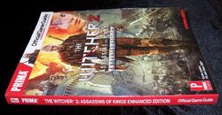 41d the witcher 2 strategy guide