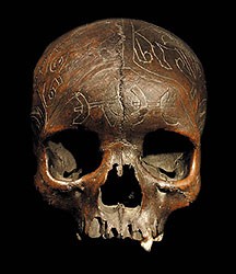 tribal art dayak skull